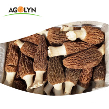 Natural Supplier Dark Brown Raw dried Morchella Mushroom
 